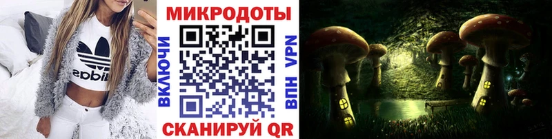 закладки  Починок  Галлюциногенные грибы Psilocybine cubensis 